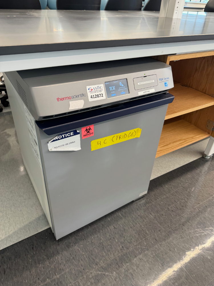 Image of Thermo TSX Series Undercounter Refrigerator